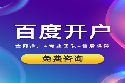 竞价托管与SEO结合的案例分析